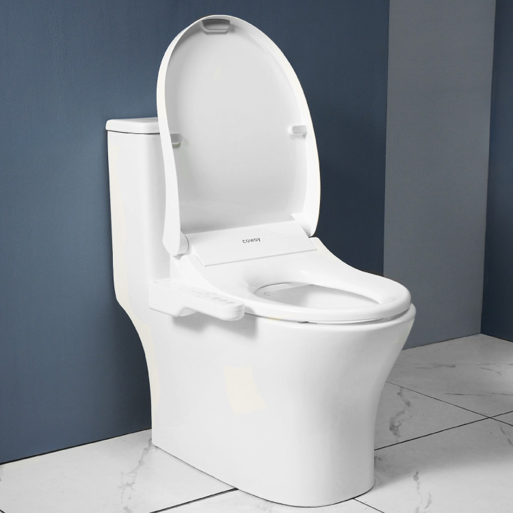 Coway Flowlet Bateri Bidet - In Washroom